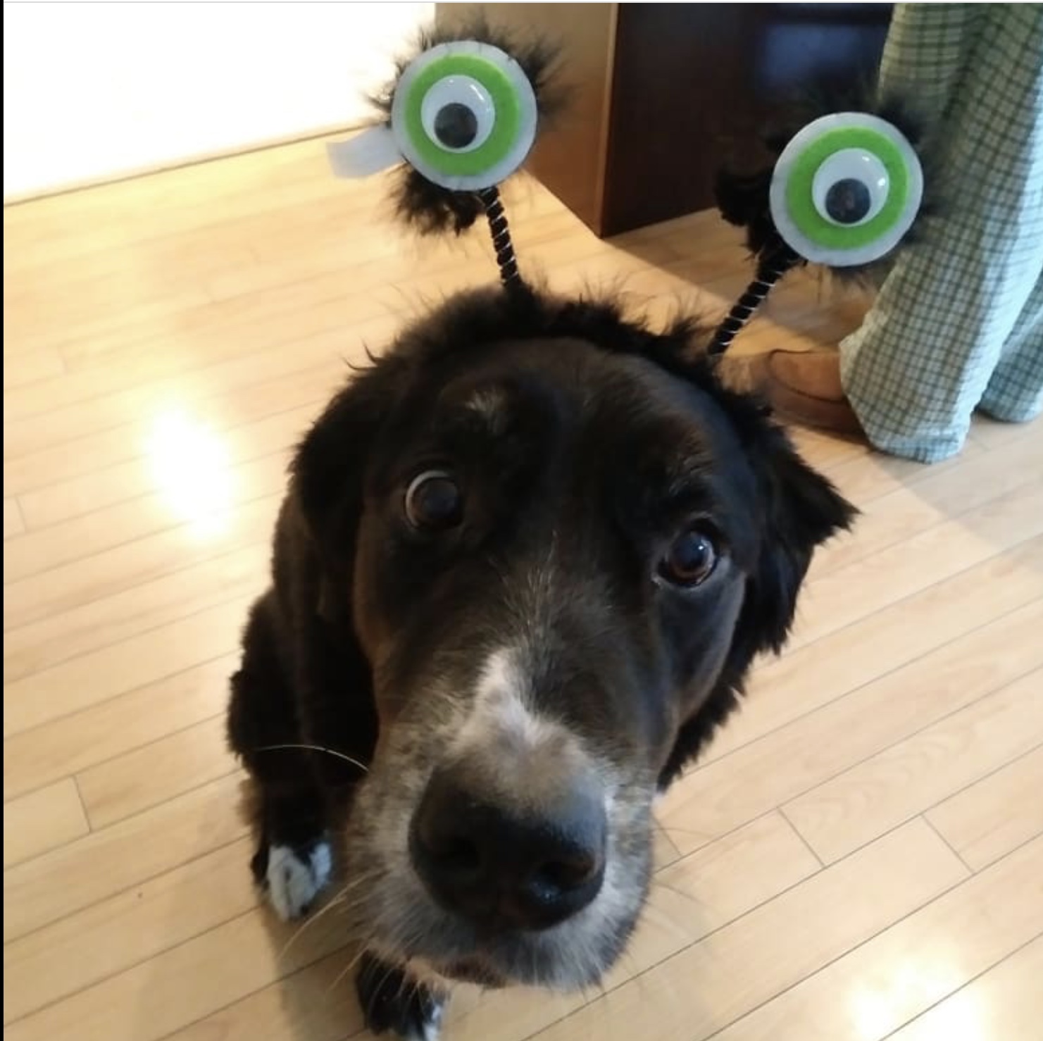 sooki pic ever