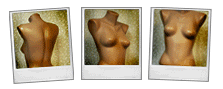 torsos